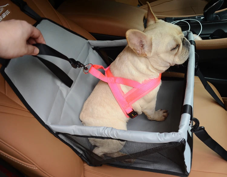 Portable Dog Car Seat for Small Pets – Secure & Comfortable Booster Carrier for Travel