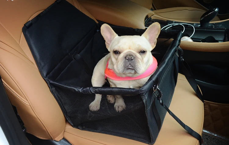 Portable Dog Car Seat for Small Pets – Secure & Comfortable Booster Carrier for Travel